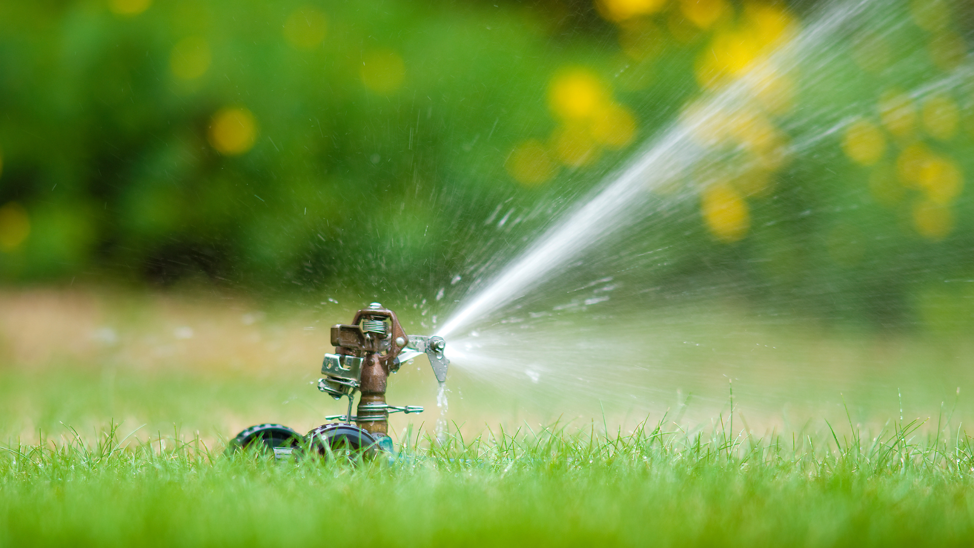 irrigation repairs and inspections